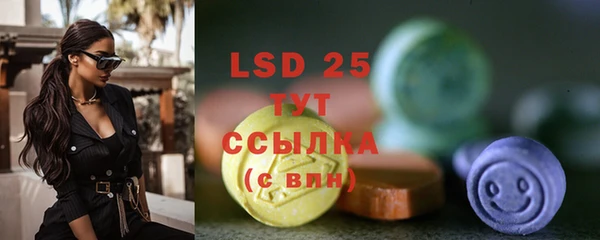 ГАЛЛЮЦИНОГЕННЫЕ ГРИБЫ Гусев